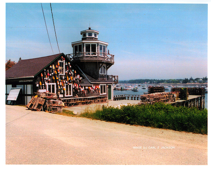 The Lobster Dock I Photograph by Carl Jackson Fine Art America