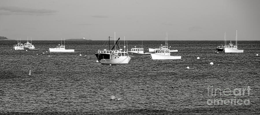 The Lobster Fleet at Tenant Harbor Photograph by Olivier Le Queinec