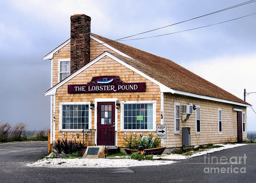 The Lobster Pound  Photograph by Janice Drew