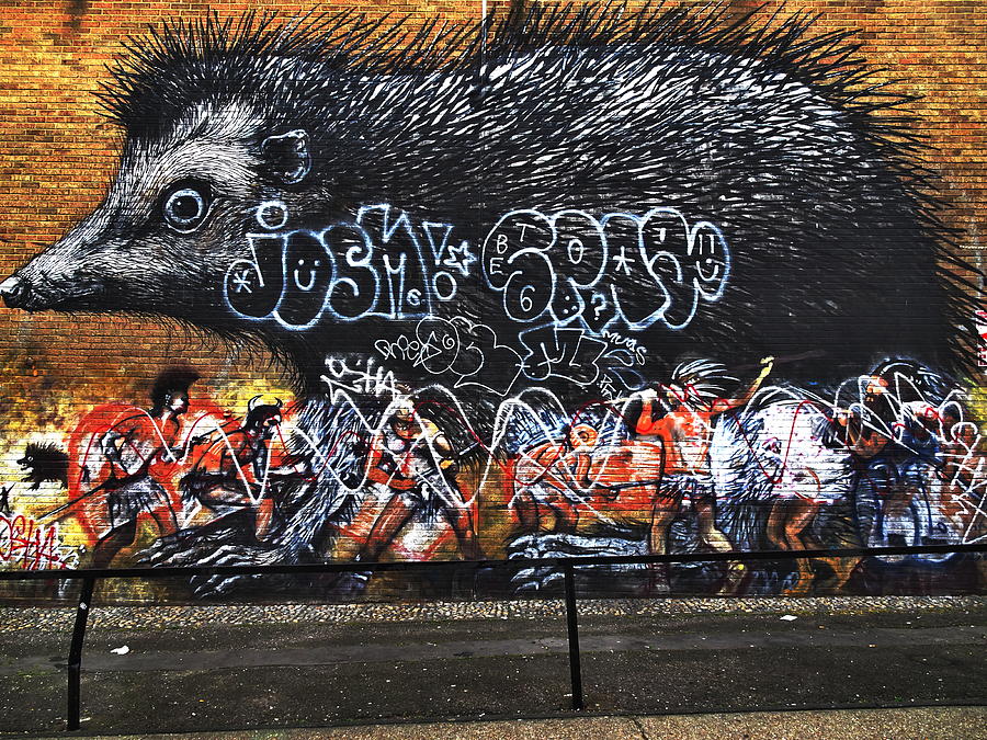 The London Porcupine  Photograph by Funkpix Photo Hunter