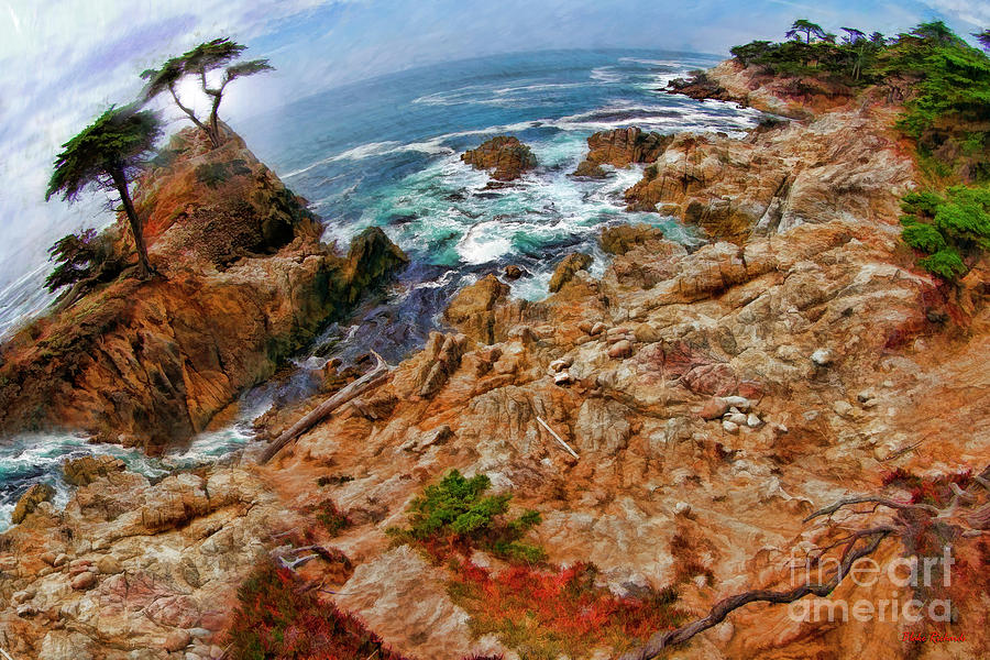 The lone cypress And Stream Photograph by Blake Richards