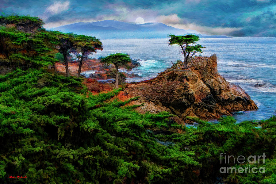 The Lone Cypress  Photograph by Blake Richards