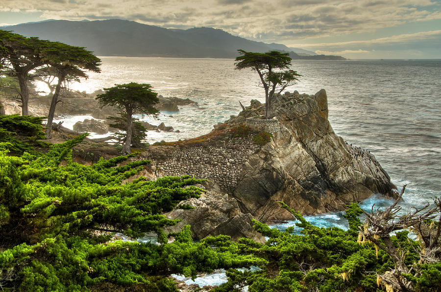 The Lone Cypress Carmel California Photograph by Connie Cooper-Edwards