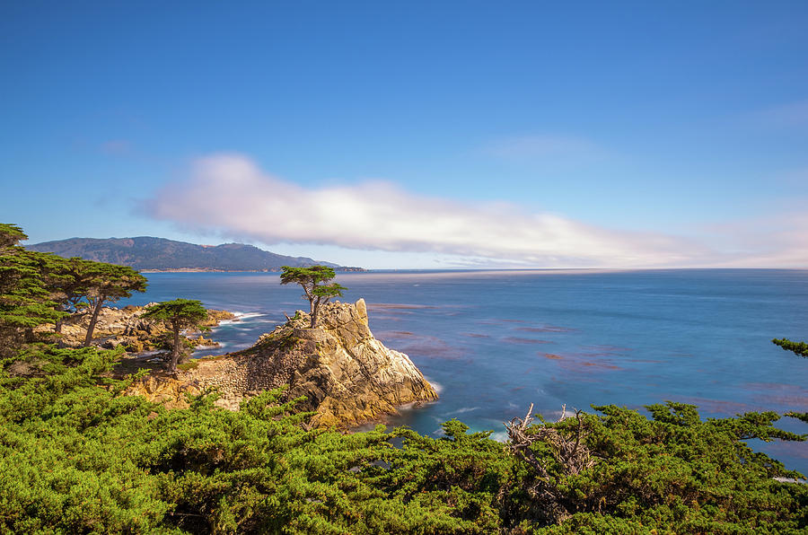 The Lone Cypress Pebble Beach Photograph by Scott McGuire