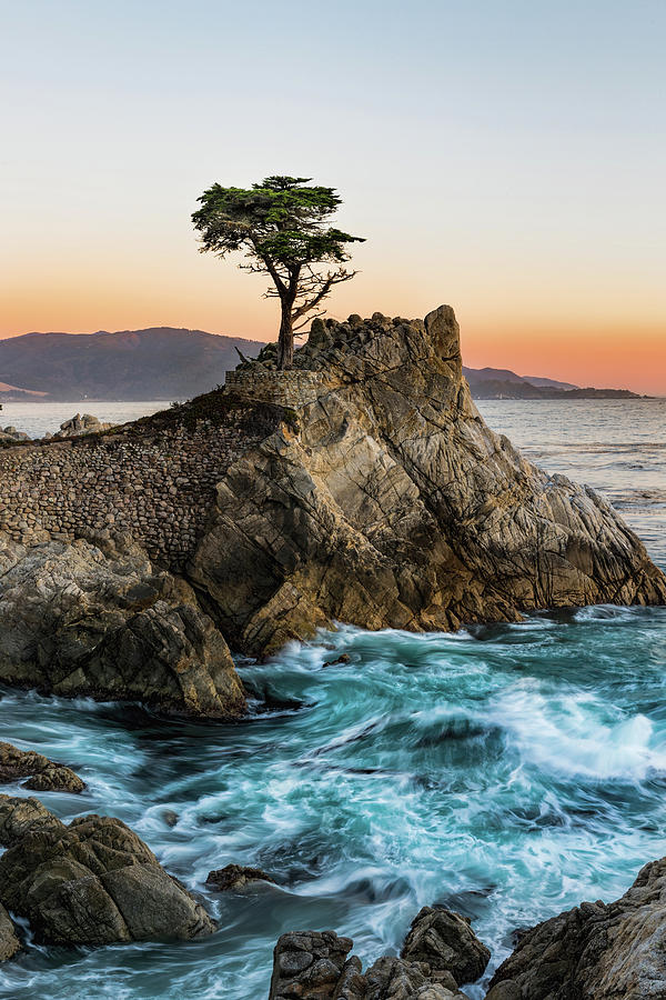 The Lone Cypress - Sunset Photograph by Mike Centioli