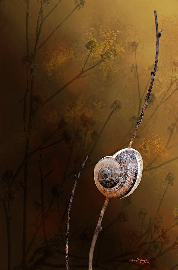 The lone snail Digital Art by Thanh Thuy Nguyen