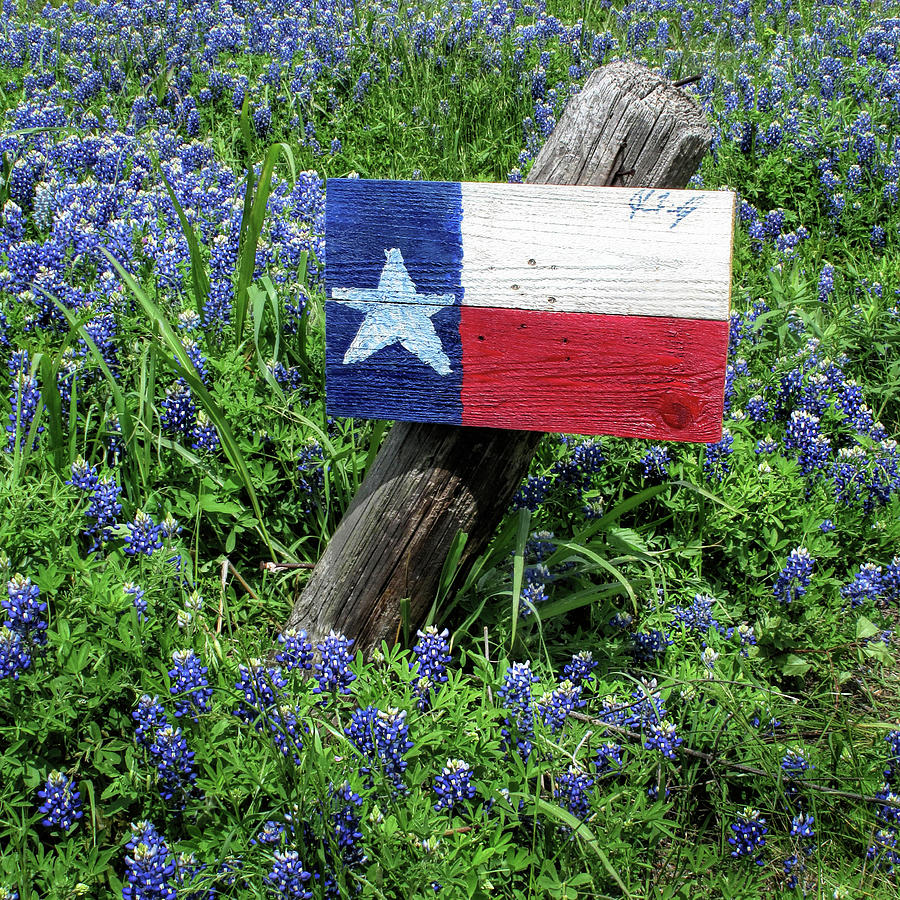 The Lone Star Flag and Bluebonnets Photograph by David and Carol Kelly