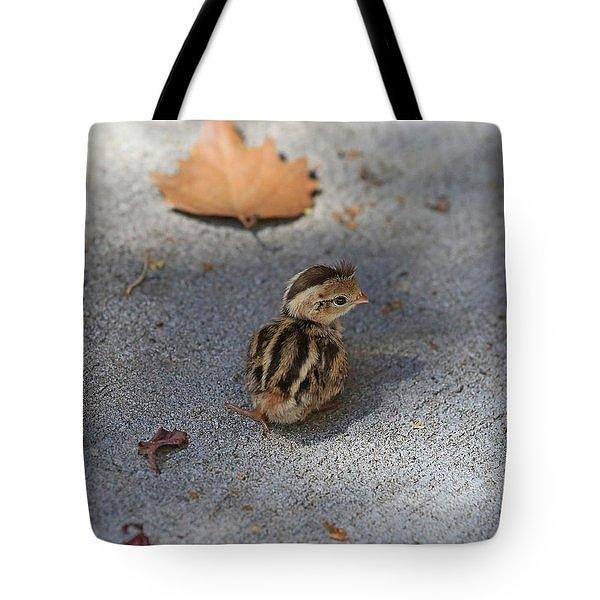 The Lone Survivor-Tote Photograph by Donna Kennedy