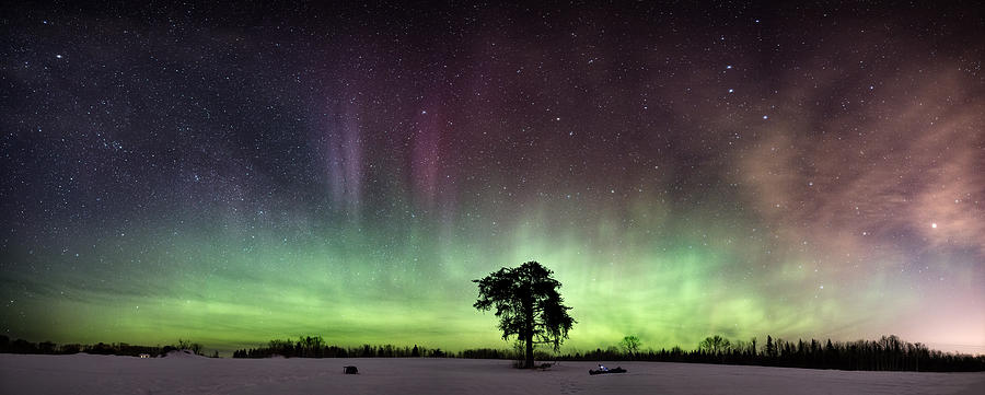 The Lone Tree early March Aurora panorama Photograph by Jakub Sisak