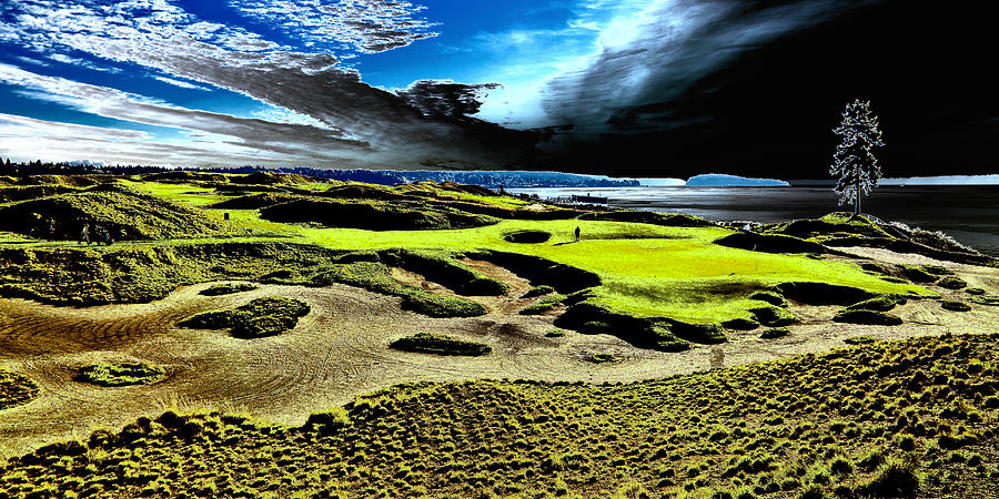 The Lone Tree on Chambers Bay - #15 Photograph by David Patterson