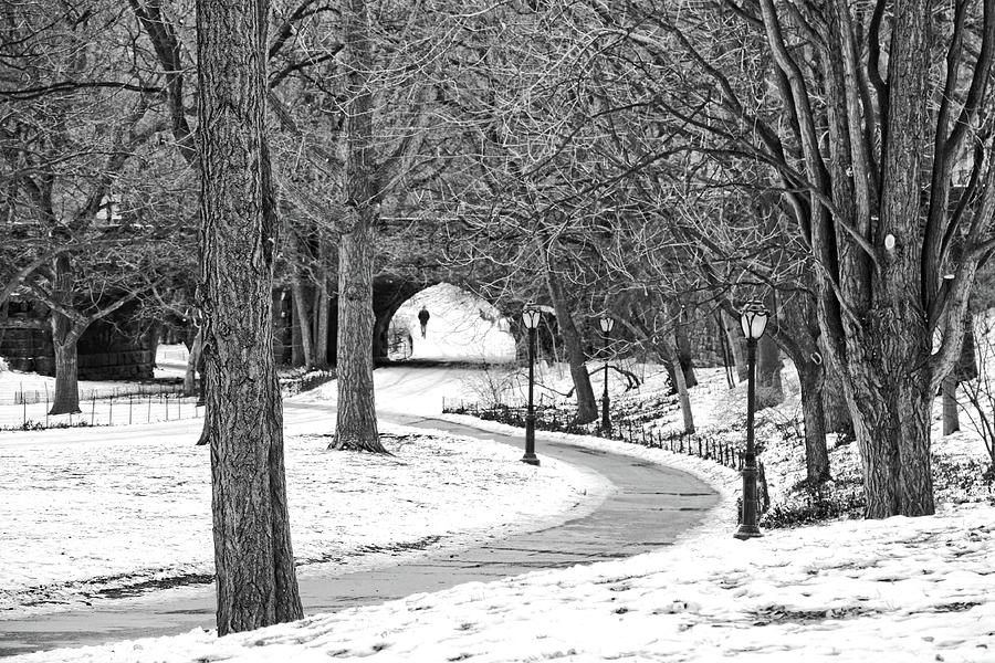 The Loneliness Of Winter Photograph by Nick Difi - Fine Art America