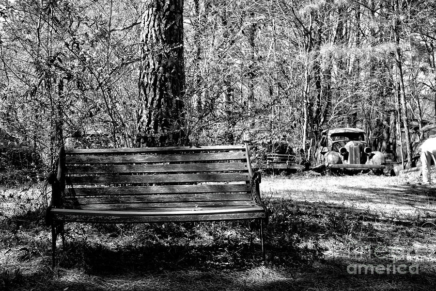 The Lonely Bench  Photograph by FineArtRoyal Joshua Mimbs