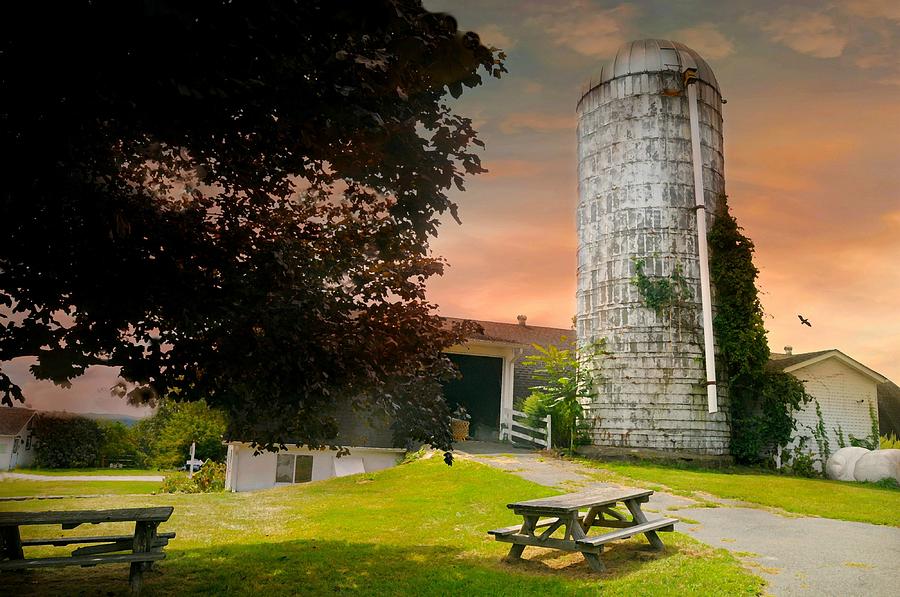 The Lonely Silo Photograph by Diana Angstadt
