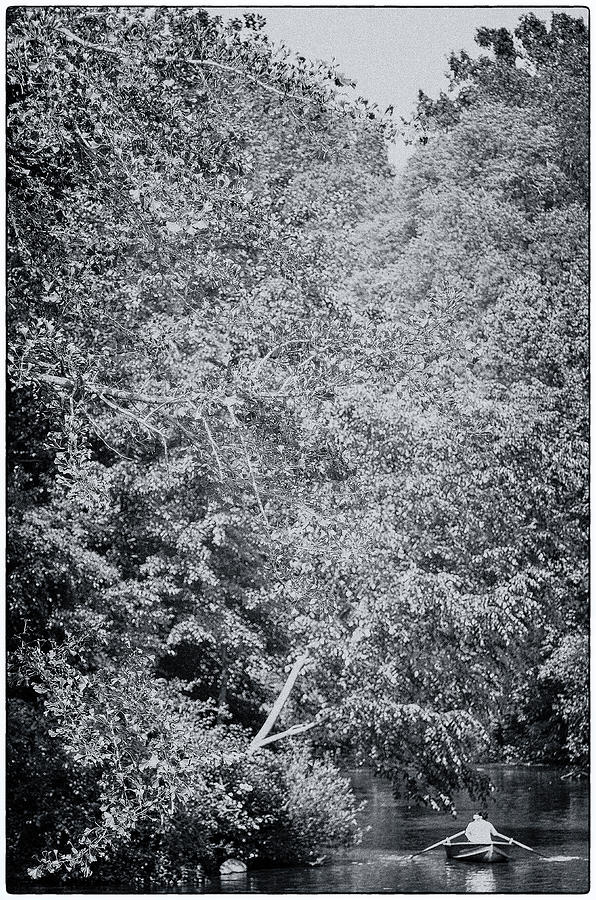 Central Park Photograph - The Loner by Richard Handwerk