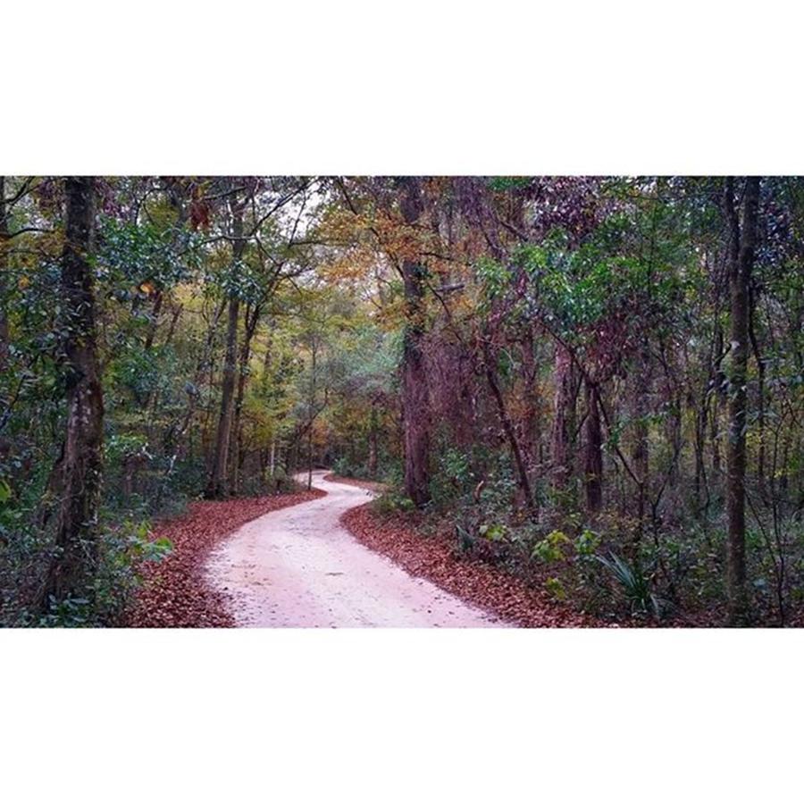 Nature Photograph - the Long And Winding Road - The by Karen Breeze