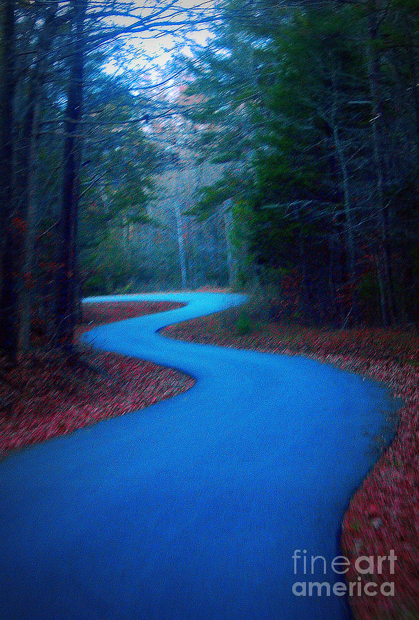 Nature Photograph - The Long and Winding Road by Rodger Painter