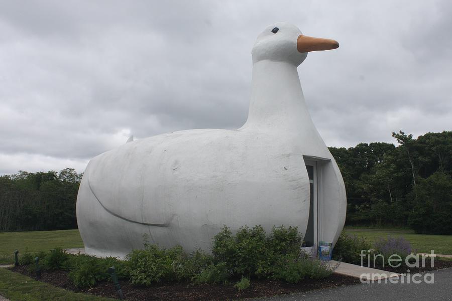 The Long Island Iconic Big Duck Photograph by John Telfer