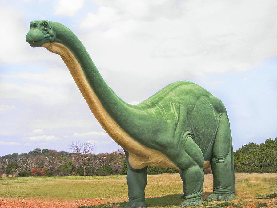  The Long Lost Brontosaurus Photograph by David and Carol Kelly