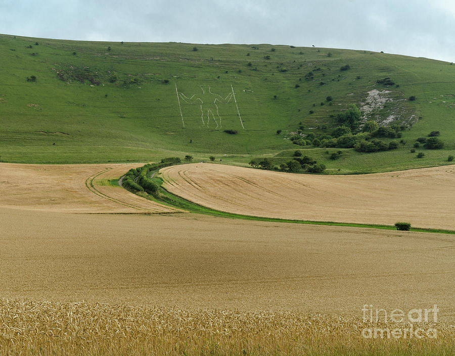 The Long Man of Wilmington Photograph by Perry Rodriguez