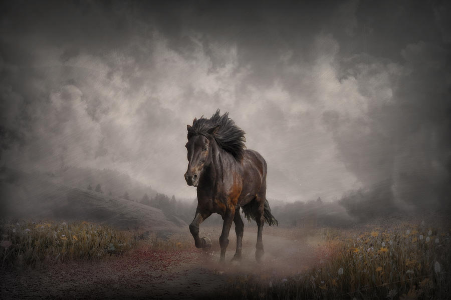 Horse Digital Art - The Long Road Home by Jennifer Woodward