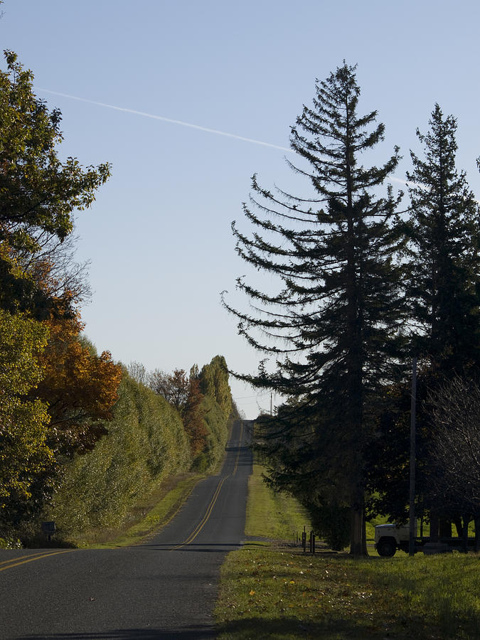 Tree Photograph - The Long Road by Tara Lynn