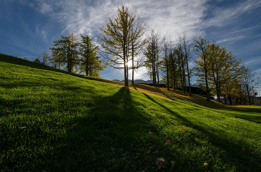 Landscape Photograph - The Long Shadow by Ingo Scholtes