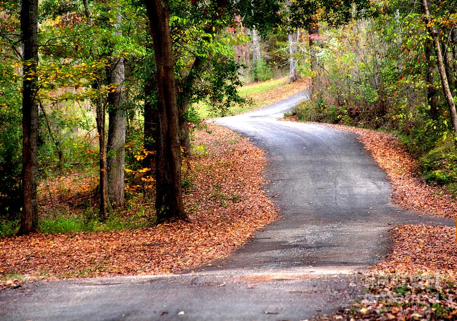 The Long Winding Road Photograph by Linda James