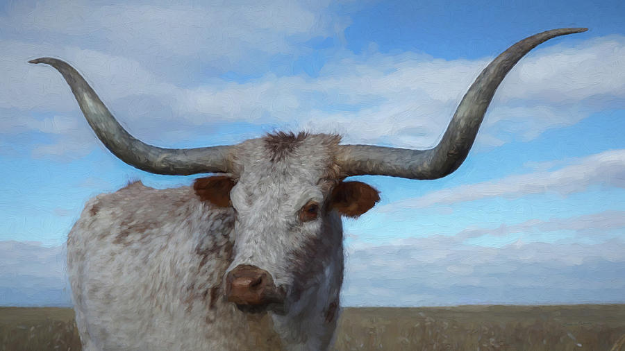 Animal Digital Art - The Longhorn DA1 by Ernest Echols