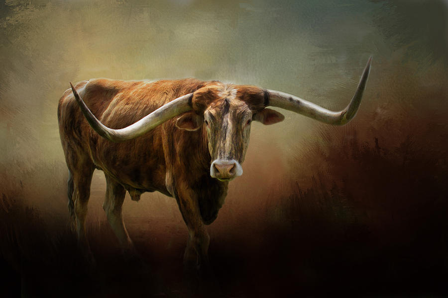 Animal Photograph - The Longhorn by David and Carol Kelly