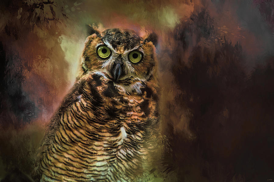 The Look in Her Eyes Owl Art Photograph by Jai Johnson