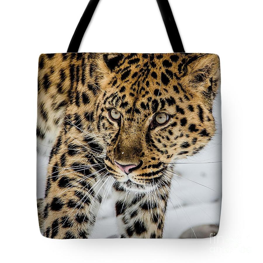 The Look Tote Photograph by Teresa Wilson