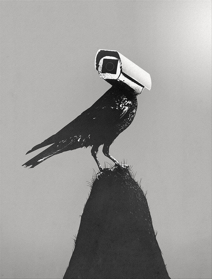Camera Digital Art - The Lookout by Nicebleed  
