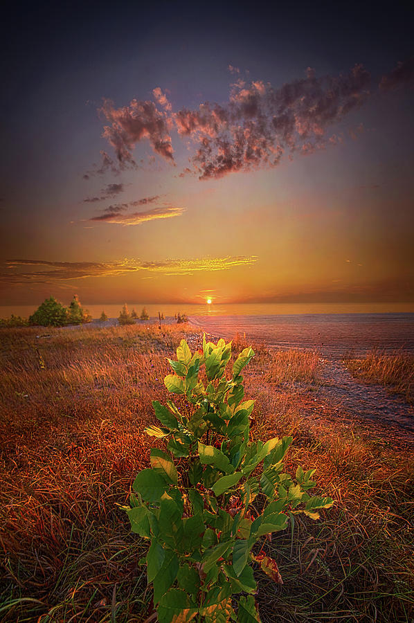 The Lord Bless You And Keep You Photograph by Phil Koch