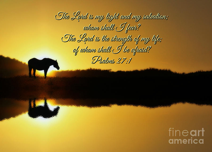 The Lord is My Light Horse and Sunrise Photograph by Stephanie Laird