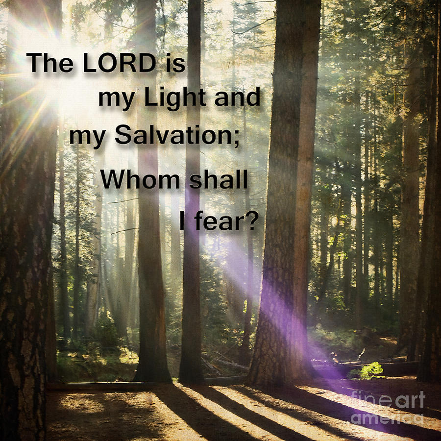 The Lord is My Light Photograph by Mary Jane Armstrong