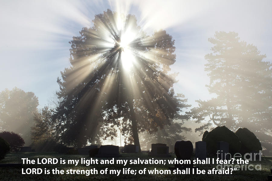 The Lord is my light Photograph by Tara Lynn