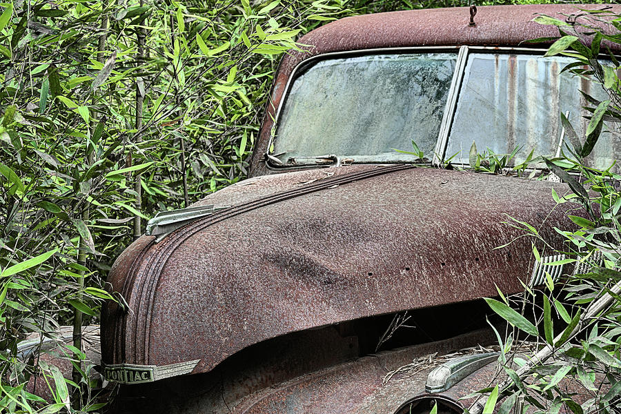 The Lost and Found Pontiac Photograph by JC Findley