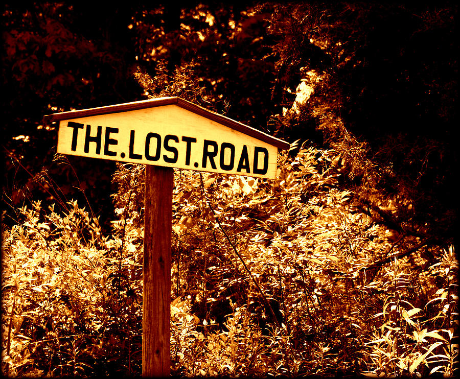 The Lost Road Photograph by Susie Weaver