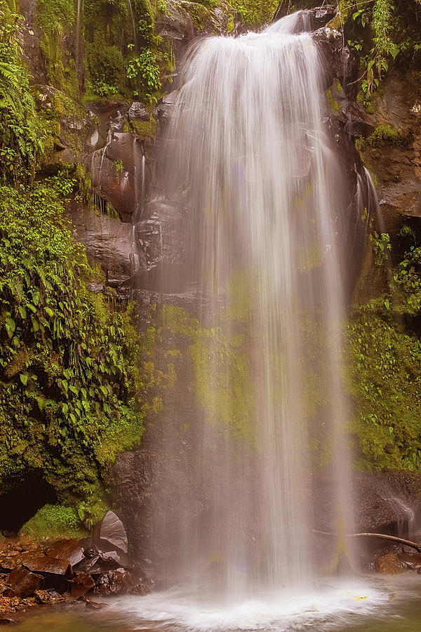 The lost waterfall trail near Boquete in Panama. Fasll number tw Photograph by Marek Poplawski