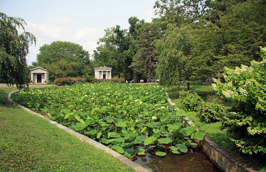 The Lotus Pond In Rock Creek Cemetery Photograph by Cora Wandel