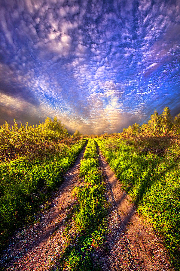 The Love of Lifes Journey  Photograph by Phil Koch