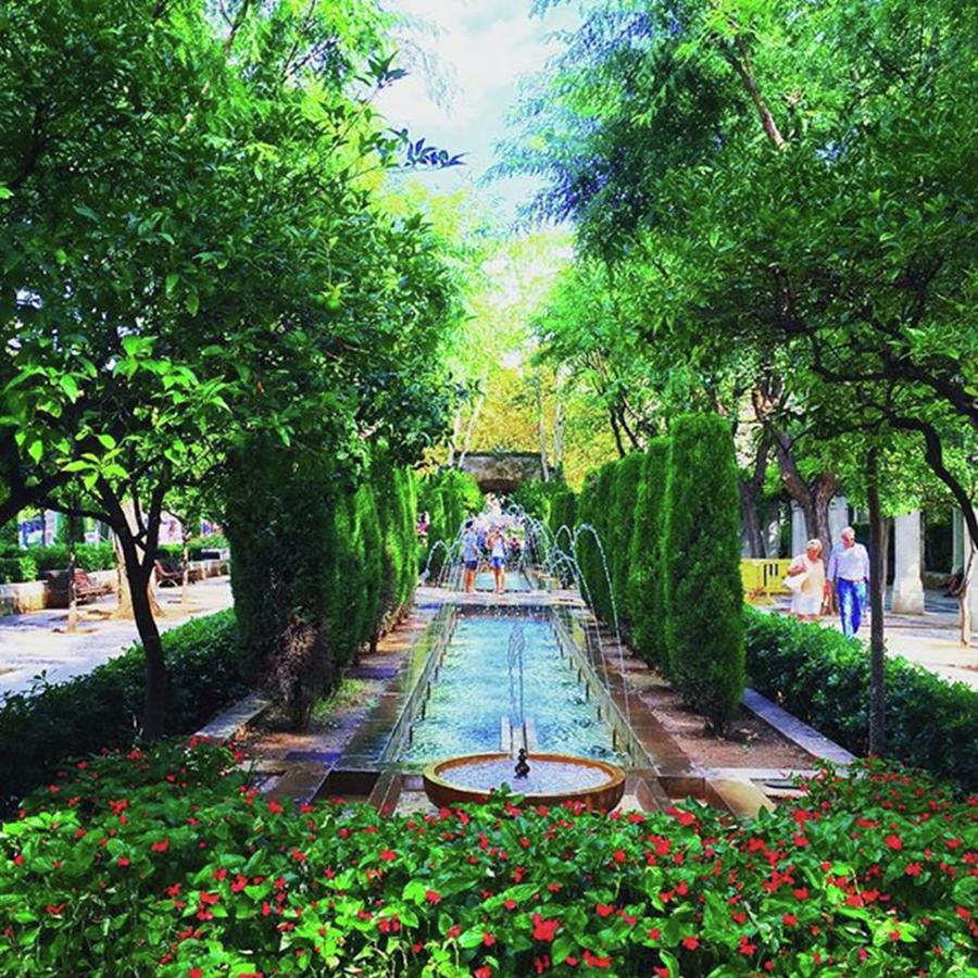 Barcelona Photograph - The Lovely Gardens Surrounding Palma by Dharmesh Bharadva