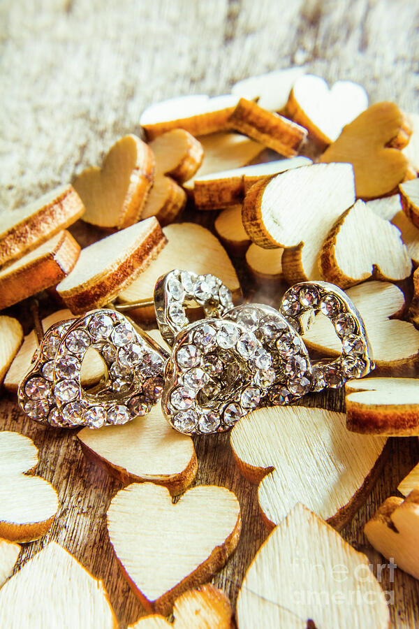 The lovers collection Photograph by Jorgo Photography The lovers collection Photograph by Jorgo Photography
