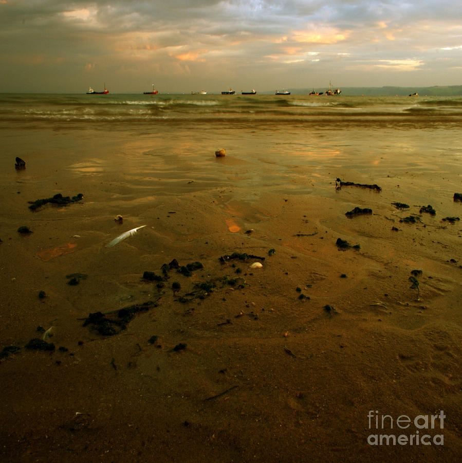 The Low Tide Photograph by Ang El