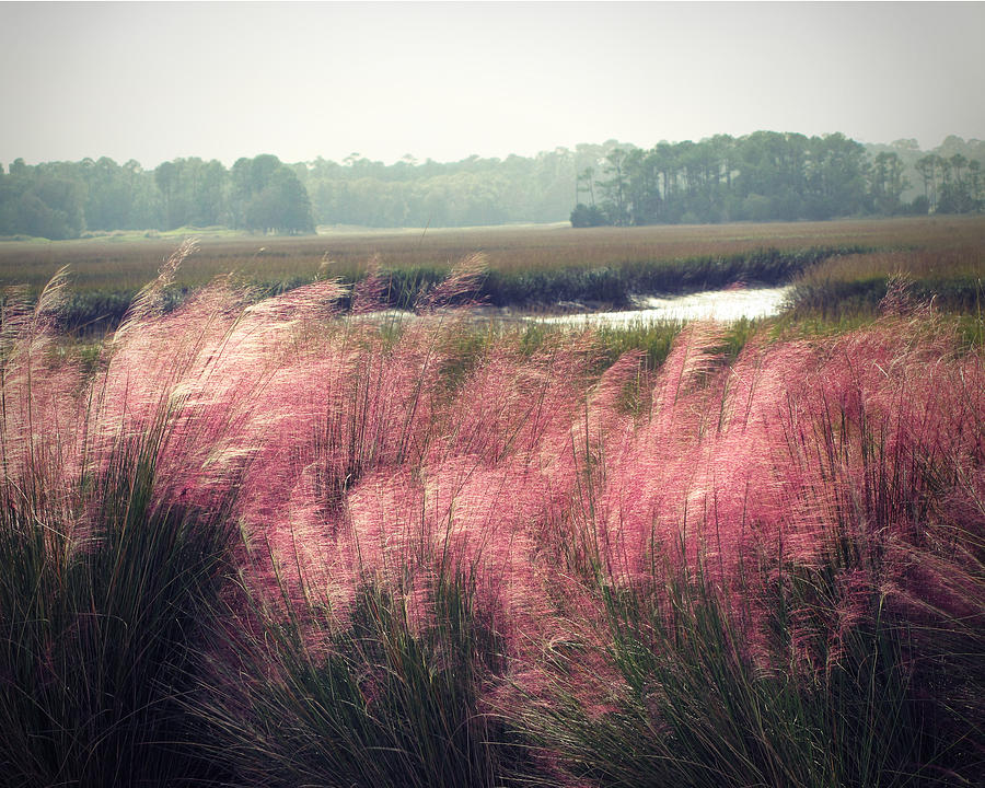 Landscape Photograph - The Lowlands by Amy Tyler