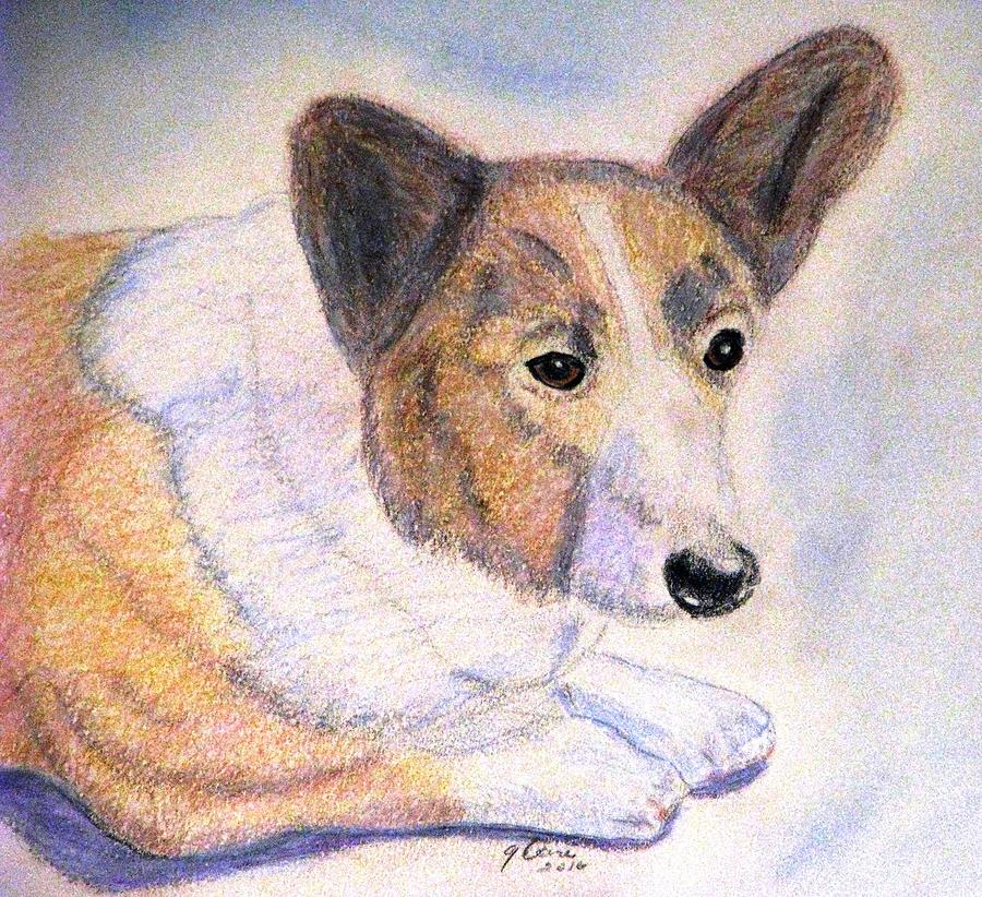 Herding Dogs Drawing - The Loyal Corgi by Angela Davies