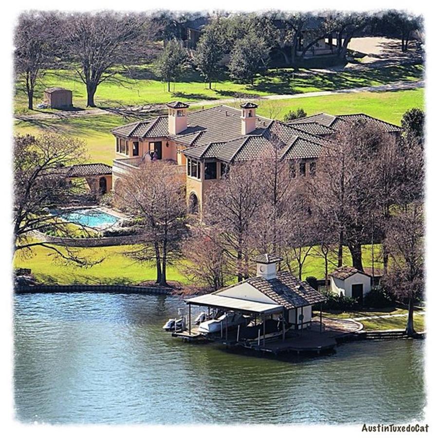 Nature Photograph - The #luxe #lakelife In #austin.
.
 by Austin Tuxedo Cat