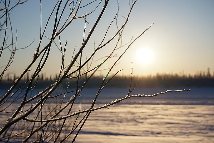 The Mackenzie in Winter - Inuvik Photograph by Desmond Raymond