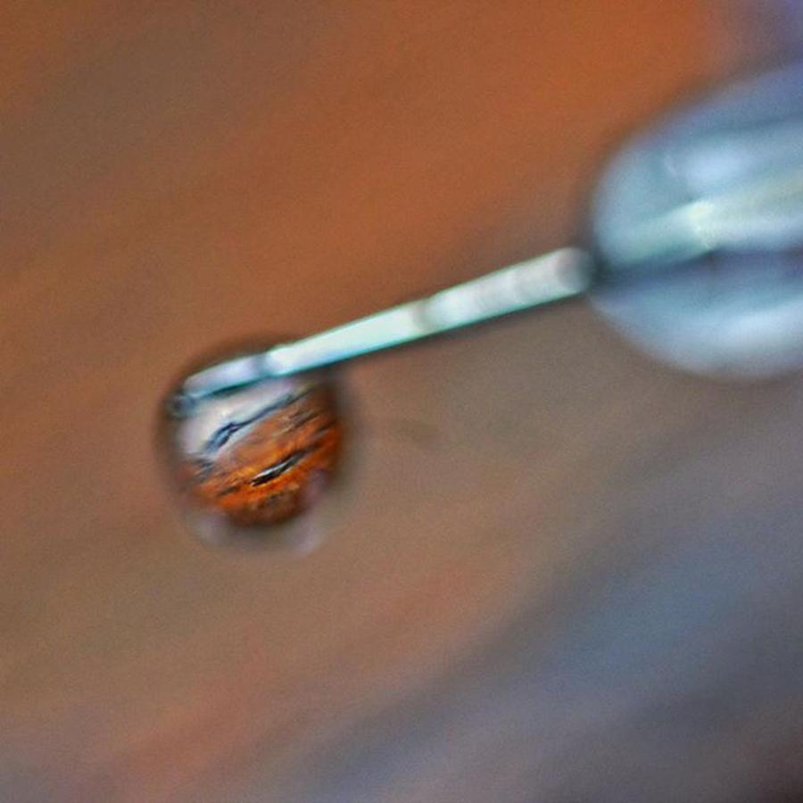Instagram Photograph - The Macro Picture Within A Picture by David Haskett II