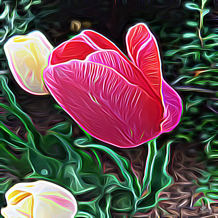 Mothers Day Digital Art - The Magenta Tulip of Alchemy by Pamela Storch